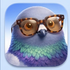 pigeon avatar