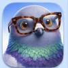 pigeon avatar